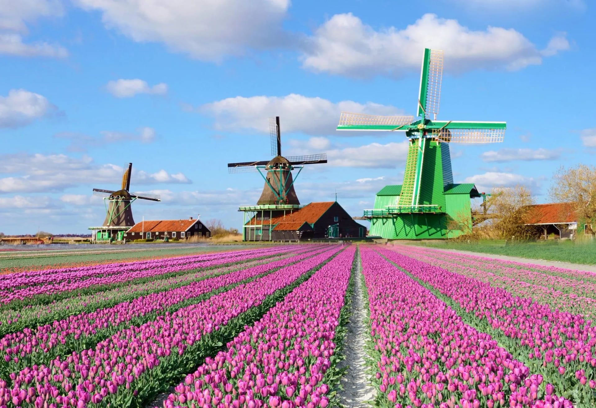 Zaanse schans